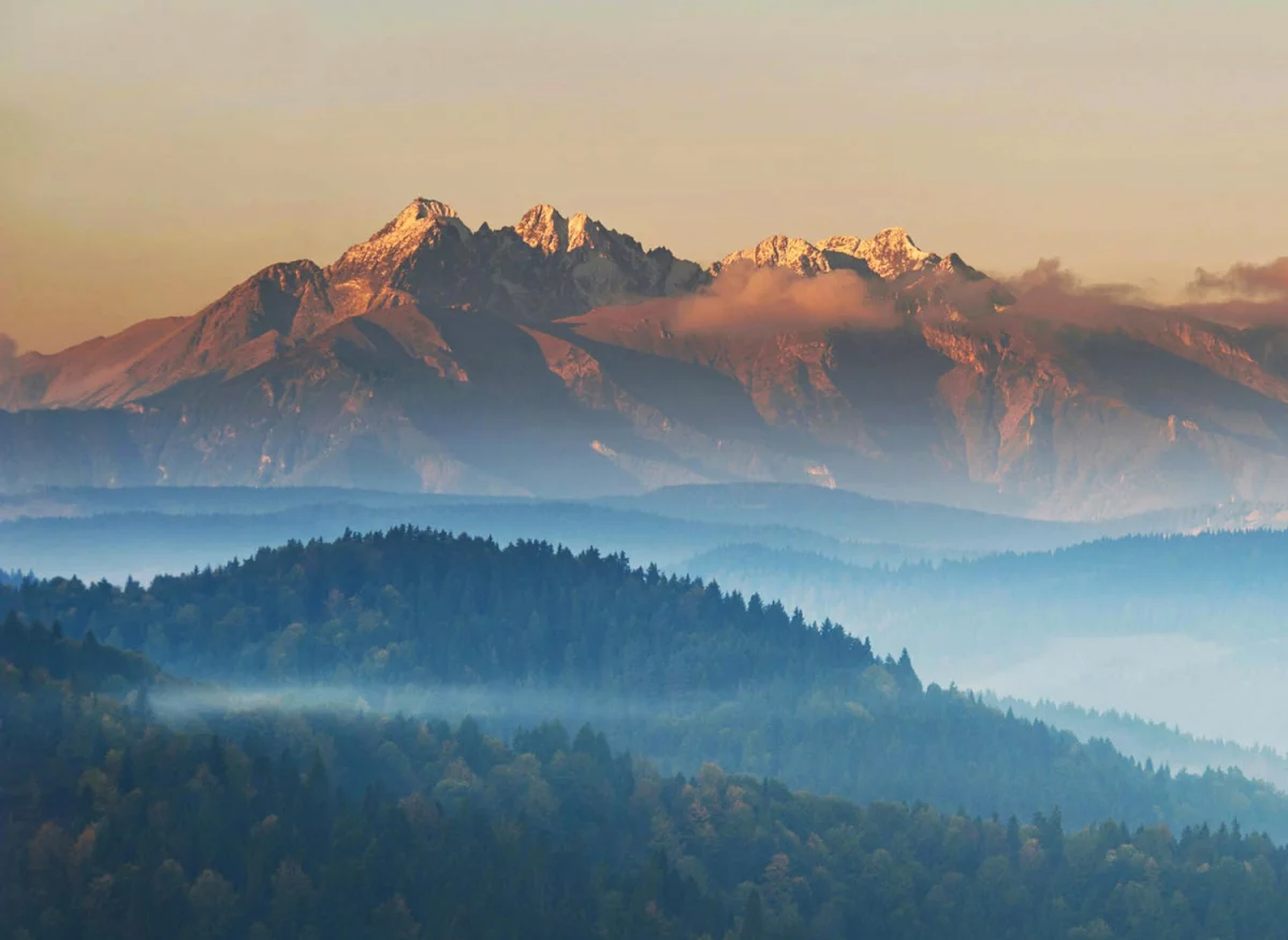 Czy można robić biznes we własnym domu?