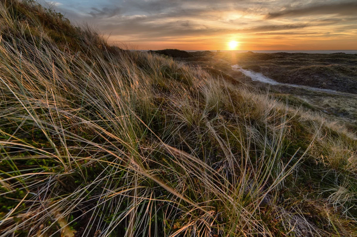 uprawiać sport dobrze?