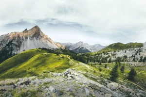 Kto musi wdrożyć eudr?